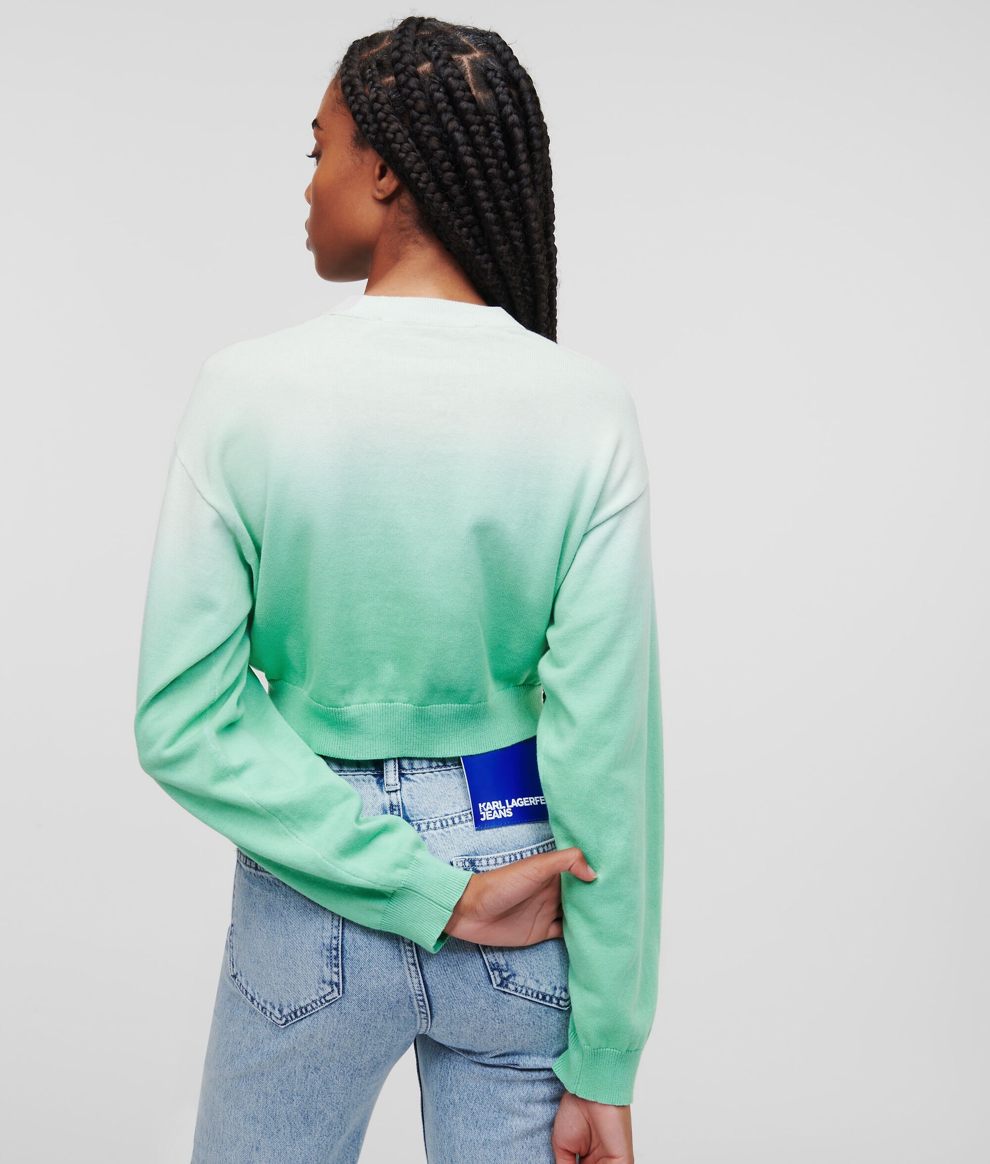 (image for) Clear KLJ OMBRÉ CROPPED JUMPER